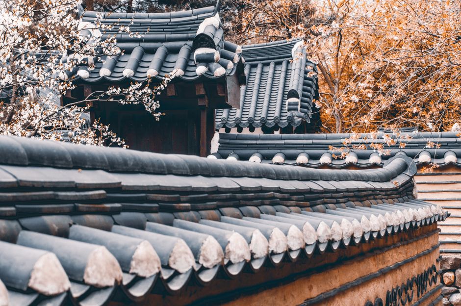 Close-up of traditional Korean rooftops adorned with autumn foliage, showcasing cultural heritage.