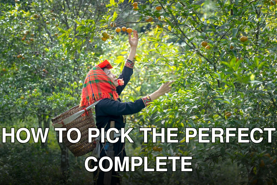 A woman in traditional attire harvesting oranges from a tree in a vibrant orchard.