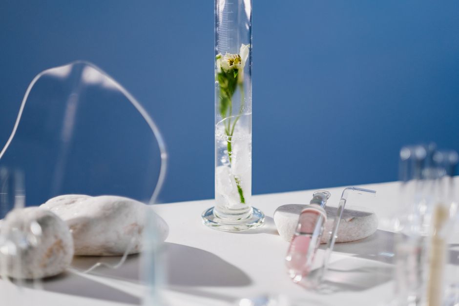 Chemistry-themed setup with a tulip in a volumetric flask on a blue background.