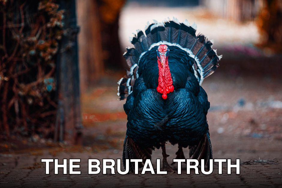 A beautiful black turkey strutting gracefully on a sidewalk outdoors, showcasing vibrant plumage.