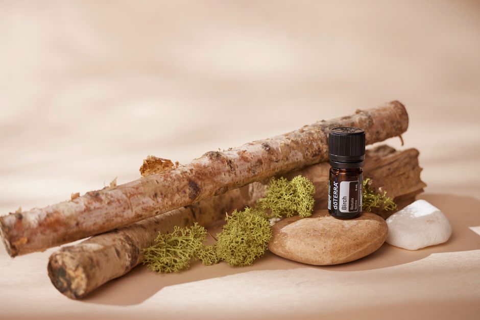 Birch essential oil bottle with wood and moss for a natural aromatherapy setting.