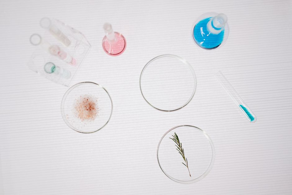 Laboratory equipment and petri dishes with chemicals and a plant, ideal for scientific research themes.